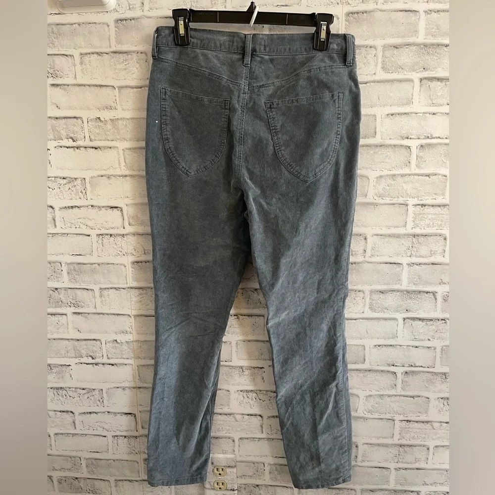 Free People We The Free slate blue corduroy type skinny button pants 29